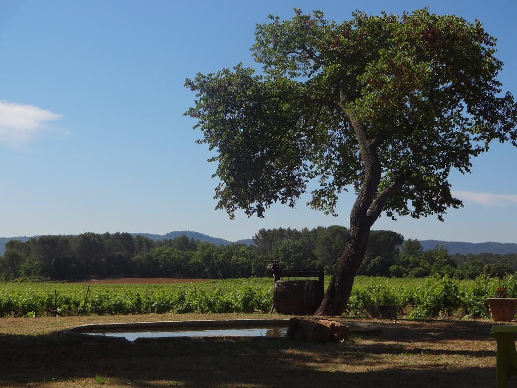 Chateau Nestuby โคทินยัค ภายนอก รูปภาพ