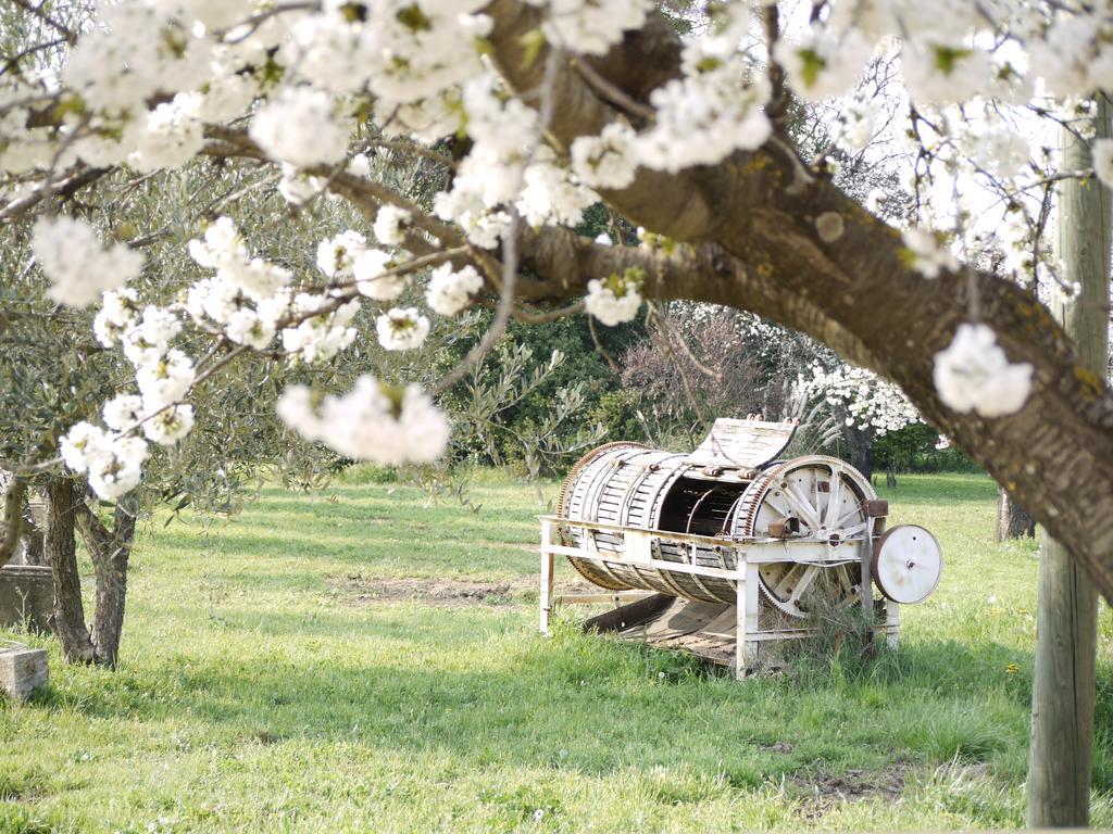 Chateau Nestuby โคทินยัค ภายนอก รูปภาพ